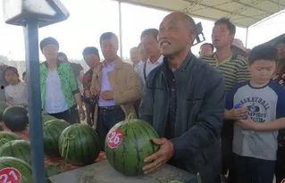 千佛山娱乐团队吃瓜群众